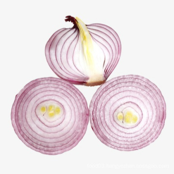 Quality fresh onion vegetables new crop for wholesale